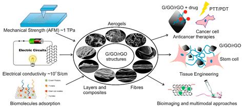  Graphene: Un Nanopomaterial Rivoluzionario per Applicazioni Biomediche Avanzate!