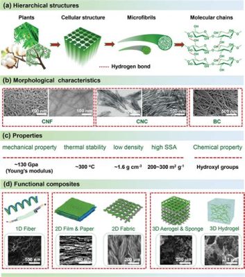  Nanocellulosa: Materiale Innovativo per Costruzioni Leggere e Resistenti!